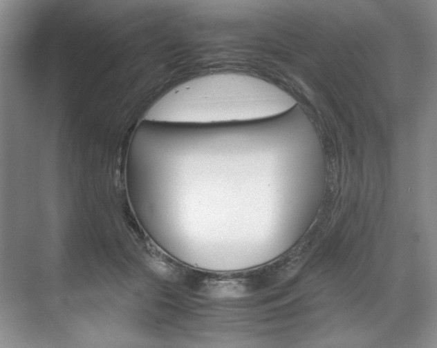 X0000071840553200606301106
