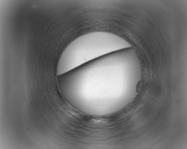 X0000071840557200606301106