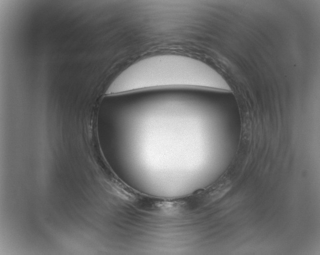 X0000071840558200606301106