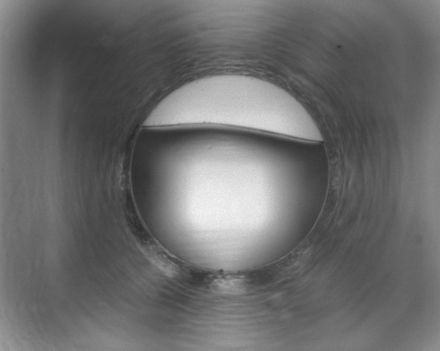 X0000071840560200606301107