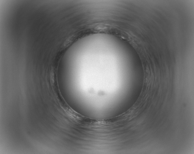 X0000071840562200606301107