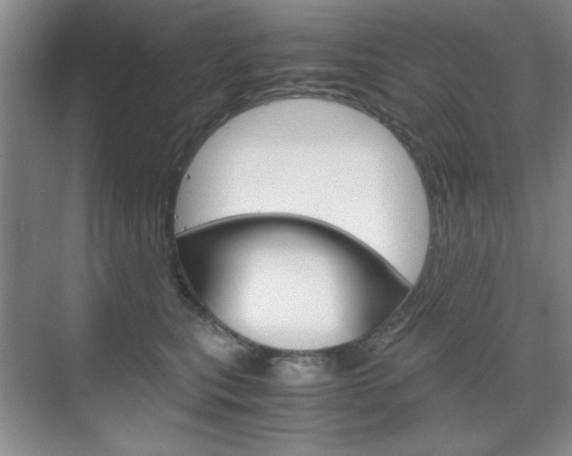 X0000071840567200606301107