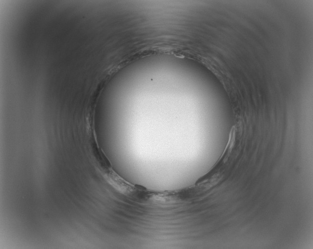 X0000071840568200606301107