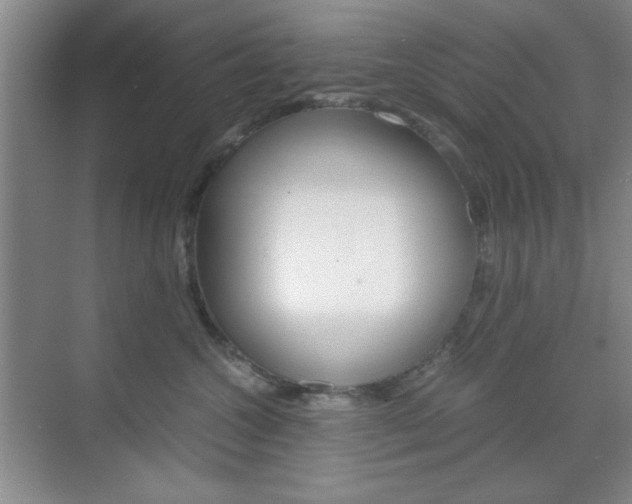 X0000071840572200606301107