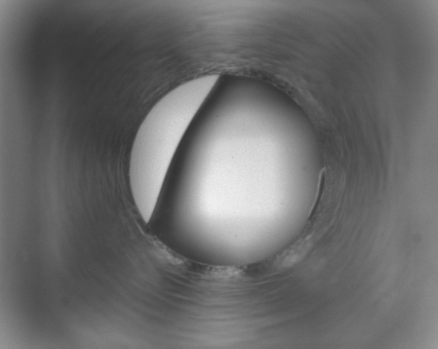 X0000071840576200606301107