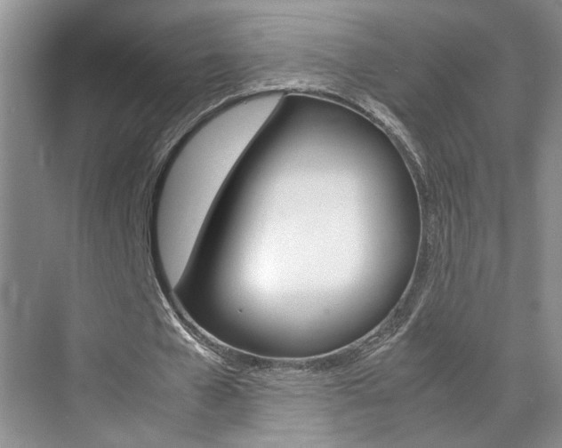 X0000071840577200606301106