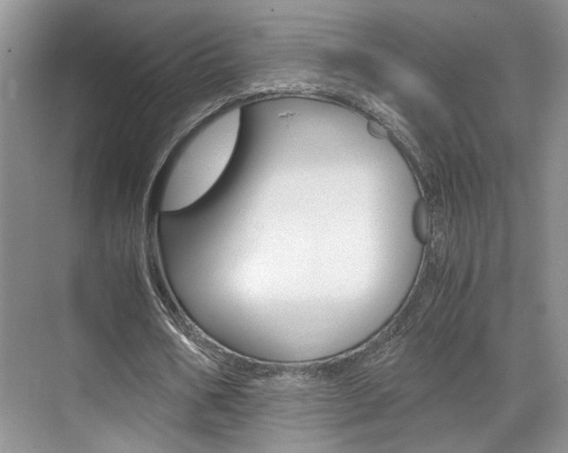 X0000071840578200606301106