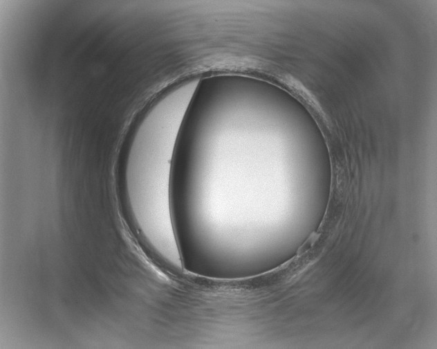 X0000071840581200606301106