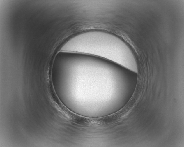 X0000071840585200606301106