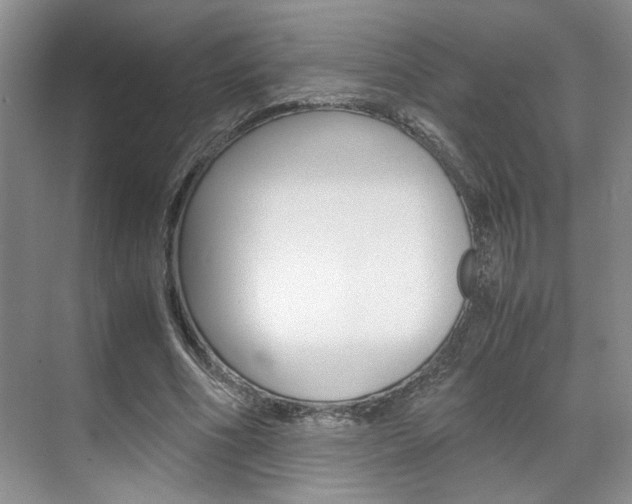 X0000071840586200606301106