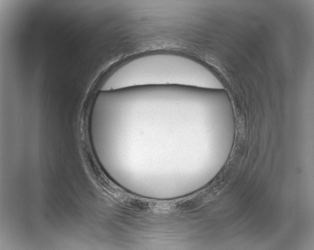 X0000071840587200606301106
