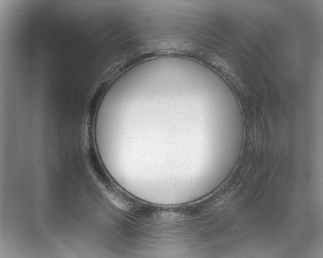 X0000071840590200606301106