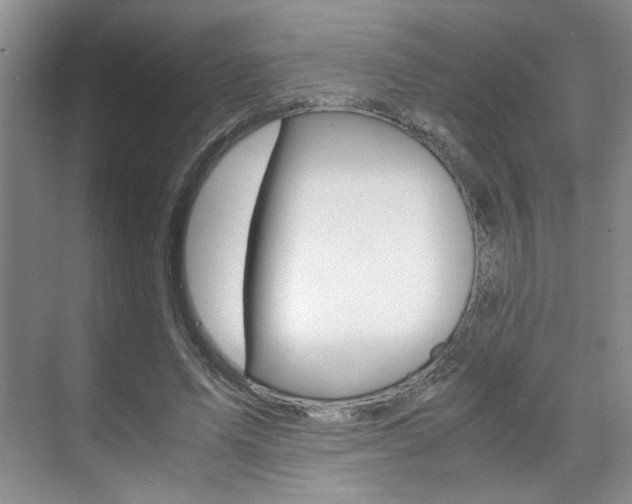 X0000071840591200606301106