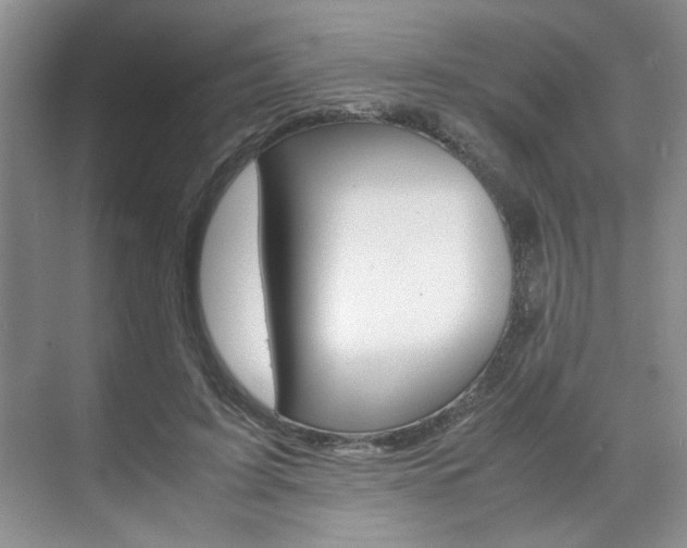 X0000071840595200606301106