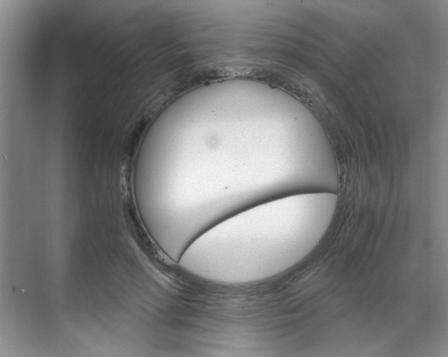 X0000071840598200606301106