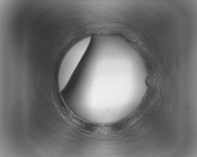 X0000071840599200606301106