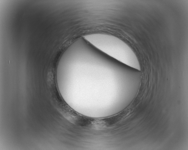 X0000071840603200606301106