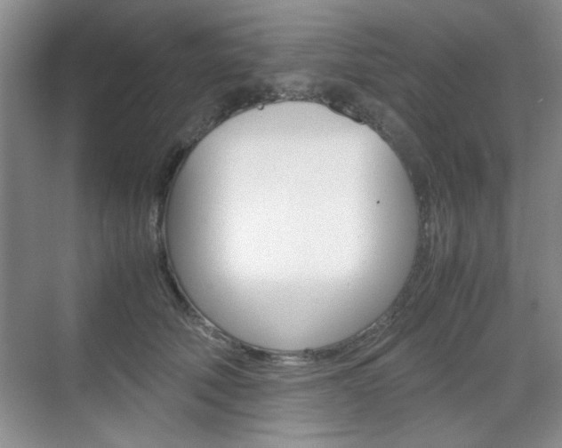 X0000071840610200606301105