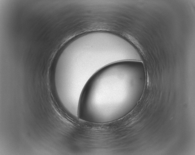 X0000071840627200606301104