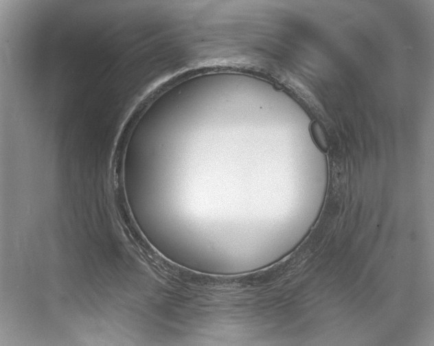 X0000071840628200606301104