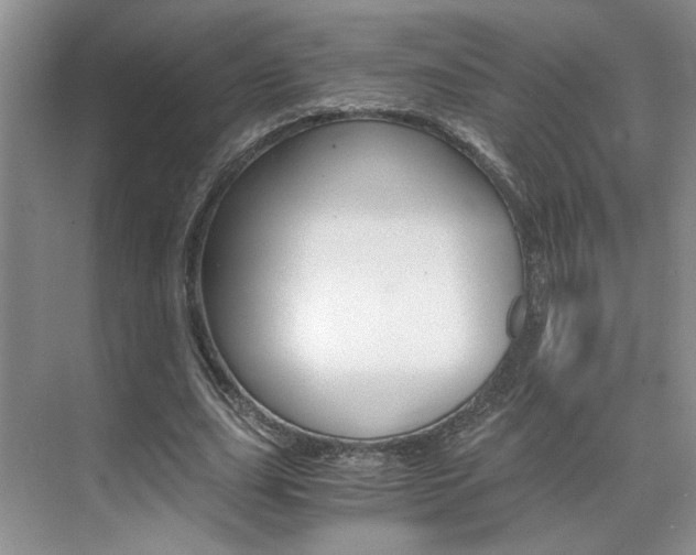 X0000071840631200606301104