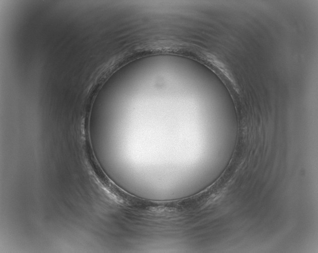 X0000071840633200606301105