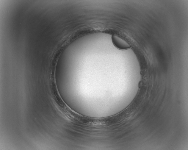 X0000071840639200606301105