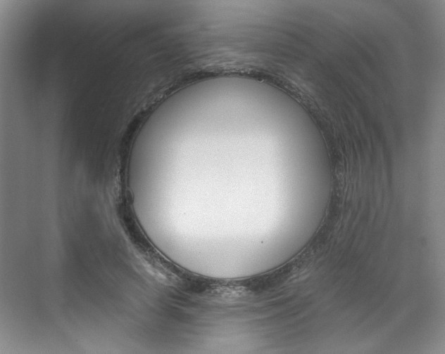 X0000071840642200606301105