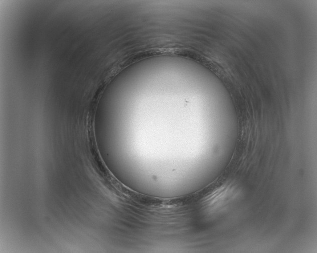 X0000071840647200606301105
