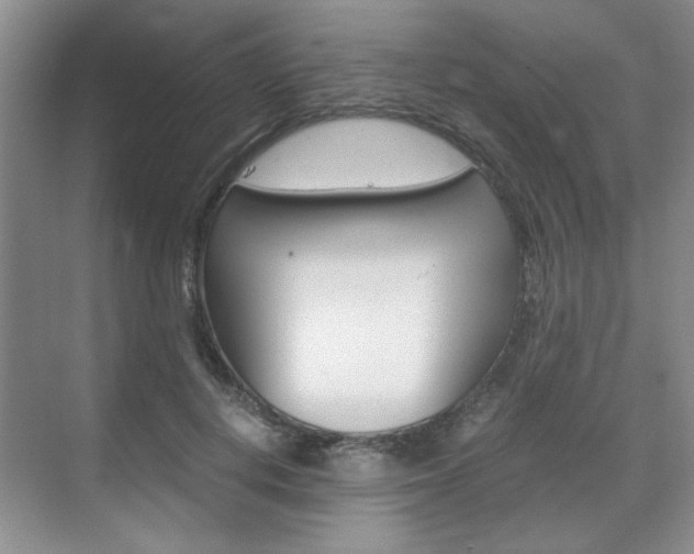 X0000071840648200606301105