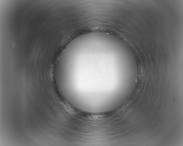 X0000071840664200606301105