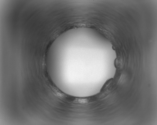 X0000071840665200606301105