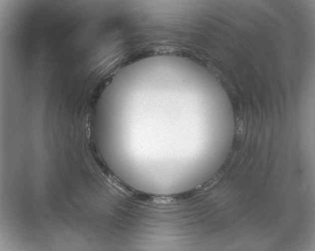 X0000071840666200606301105