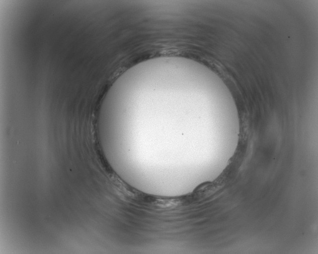 X0000071840667200606301105