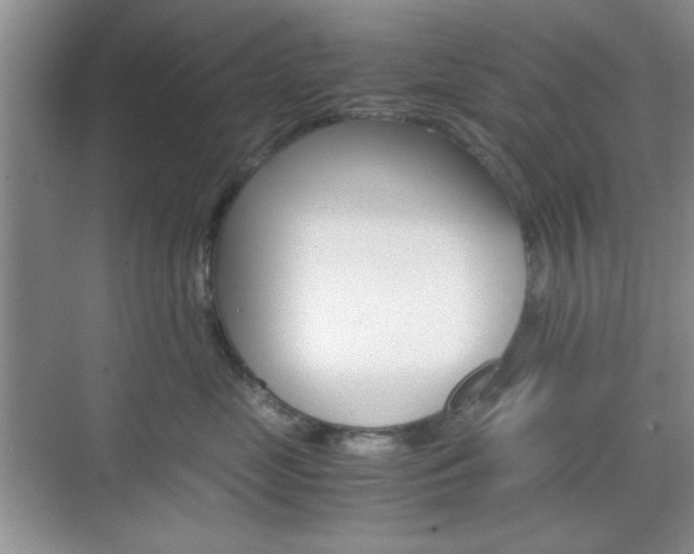 X0000071840669200606301105