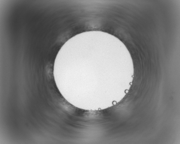 X0000071840672200606301105