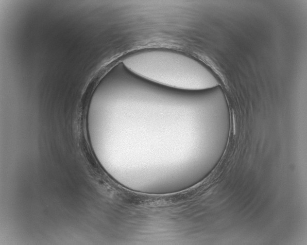 X0000071840675200606301104