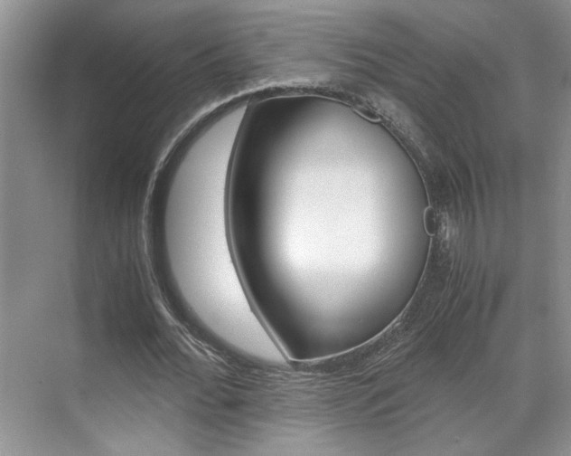 X0000071840676200606301104