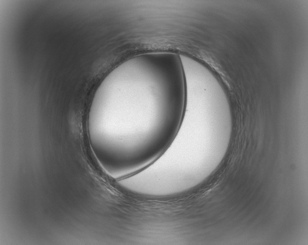 X0000071840681200606301104