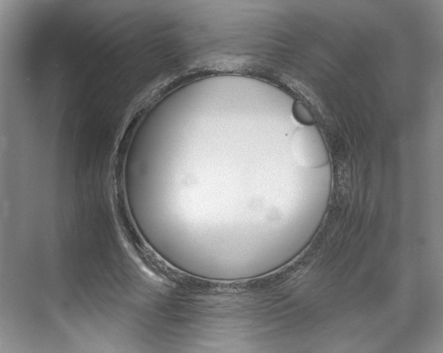 X0000071840682200606301104