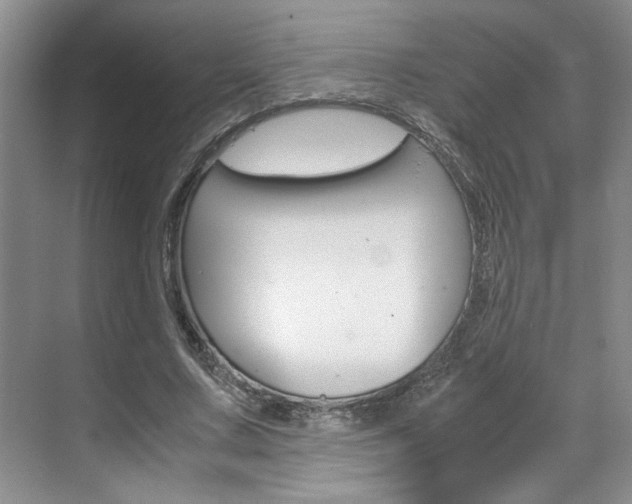 X0000071840683200606301104