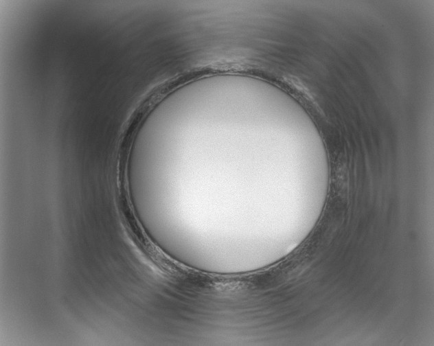 X0000071840686200606301104