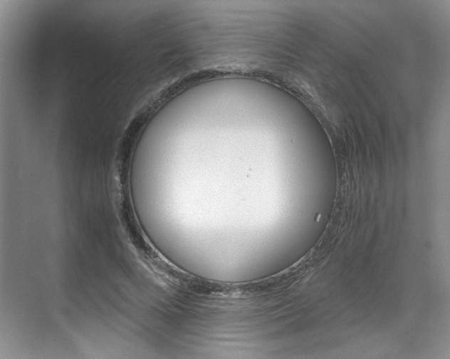 X0000071840688200606301104