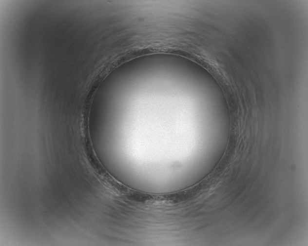 X0000071840689200606301104
