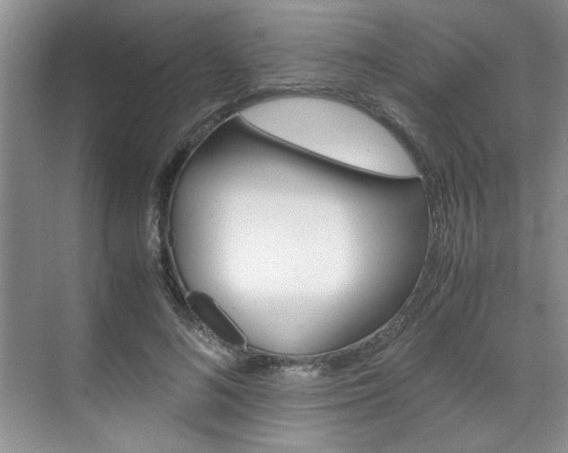 X0000071840692200606301104