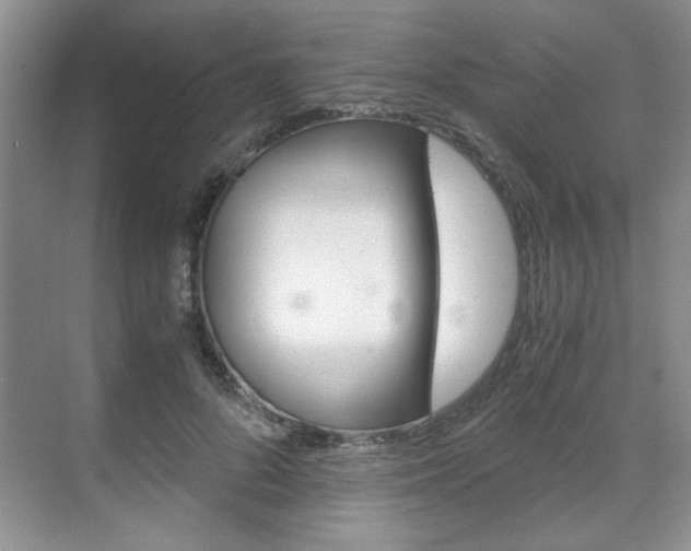 X0000071840696200606301104