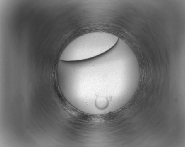 X0000071840702200606301104