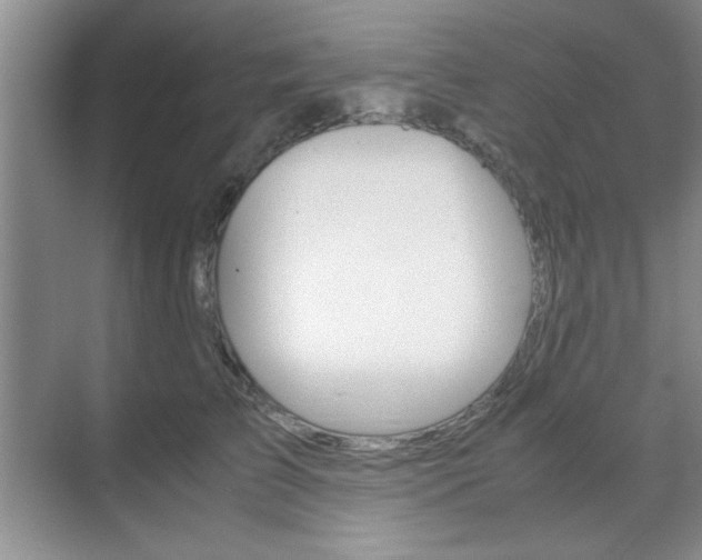 X0000071840709200606301104
