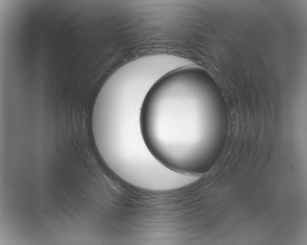 X0000071840712200606301104