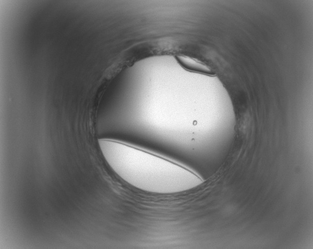 X0000071840715200606301104